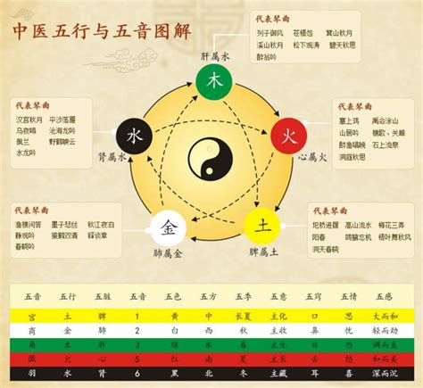 中醫五行|中医五行学